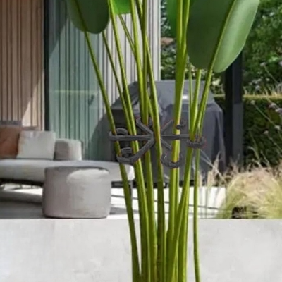 Support Plante - NewPlantFixingClip™ - Noir