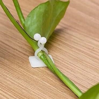 Support Plante - WallHangingPlantFixer™ - Transparent