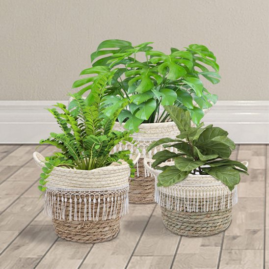 Cache pot osier