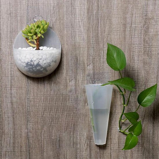 Pot de fleur interieur succulentes hydroponie