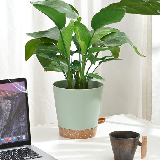 Pot de fleur | Arrosage Autonome