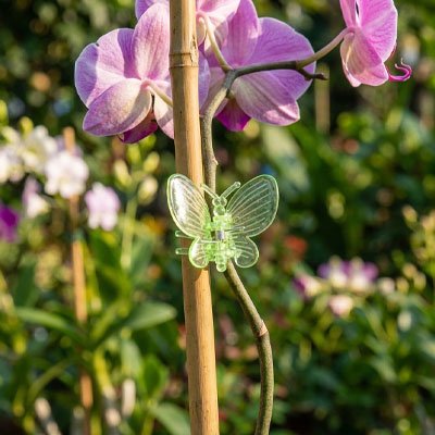 Support plante grimpante