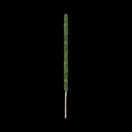 Support Plante - FoamPlantSupport™