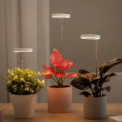 Lampe Pour Plante - LEDPlantGrowthLight™