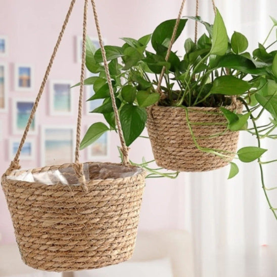 Pothos dans un cache pot en corde de jute