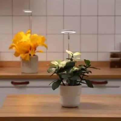 Lampe Pour Plante - LEDPlantGrowthLight™