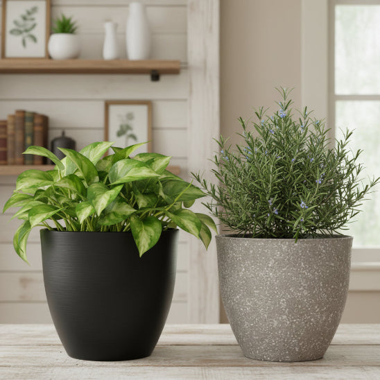 CACHE POT NOIR ET MARRON