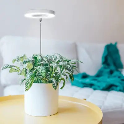 Lampe Pour Plante - LEDPlantGrowthLight™