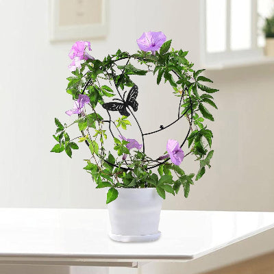 DECORATION JARDIN - NatureTrellis™ - Papillon