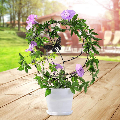 DECORATION JARDIN - NatureTrellis™ - Papillon