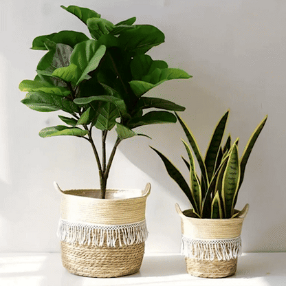 Cache pot osier