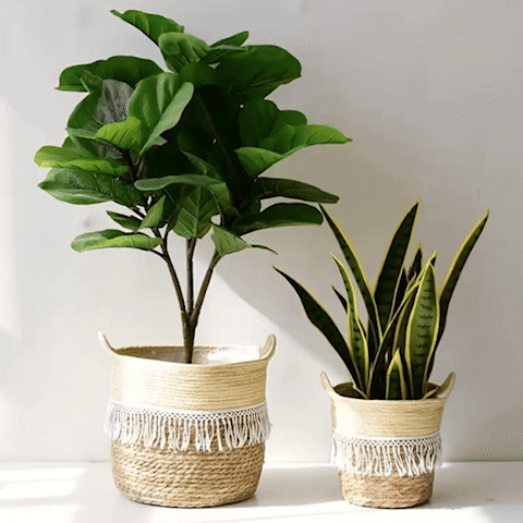 Cache pot osier