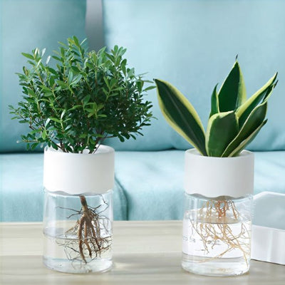 Pot de fleur hydro blanc