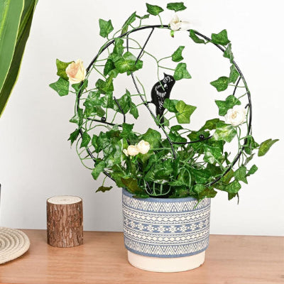 tuteur plante grimpante