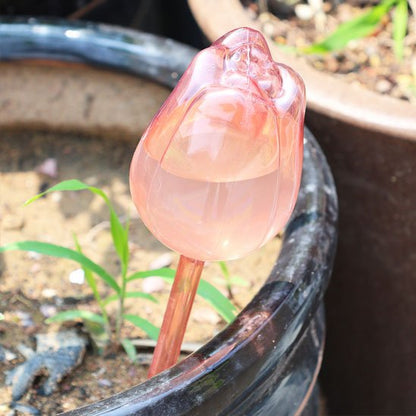 Arrosage goutte à goutte