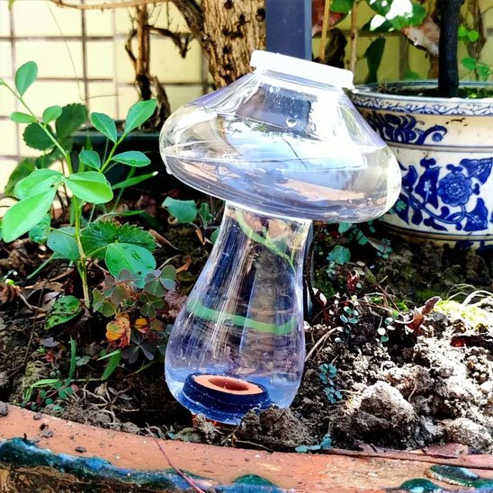 Arrosage goutte à goutte 