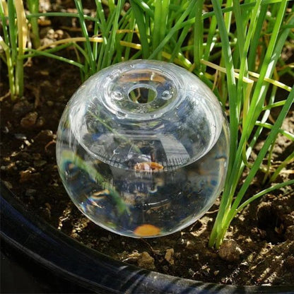 Arrosage goutte à goutte