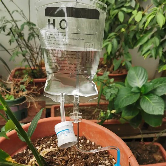 Arrosage goutte à goutte