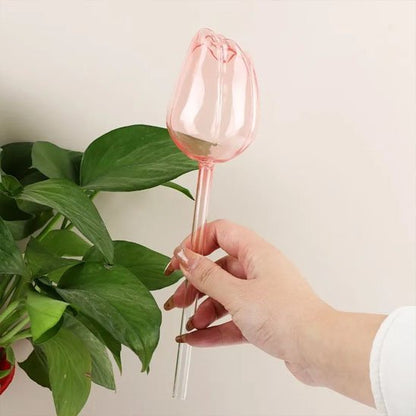Arrosage goutte à goutte