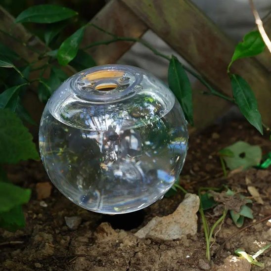 Arrosage goutte à goutte