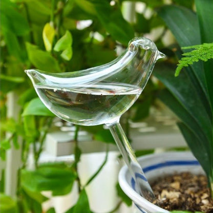 Arrosage goutte à goutte