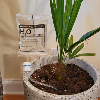 Arrosage goutte à goutte