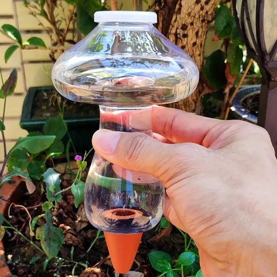 Arrosage goutte à goutte 