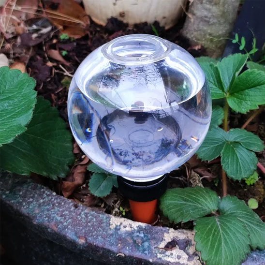Arrosage goutte à goutte