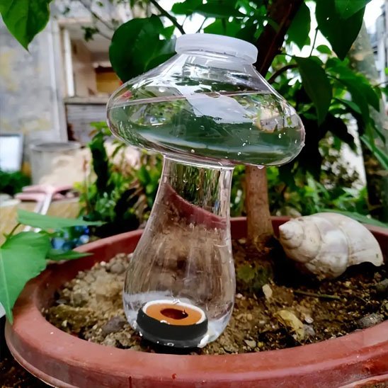 Arrosage goutte à goutte 