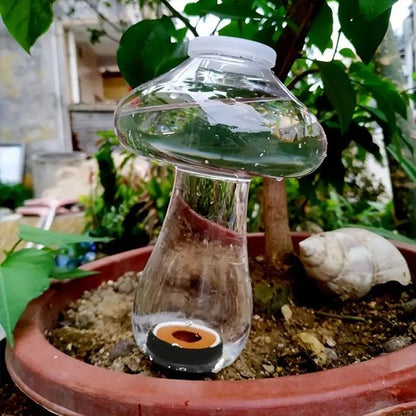Arrosage goutte à goutte 