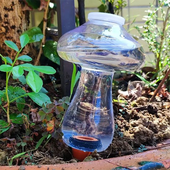Arrosage goutte à goutte 