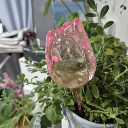 Arrosage goutte à goutte