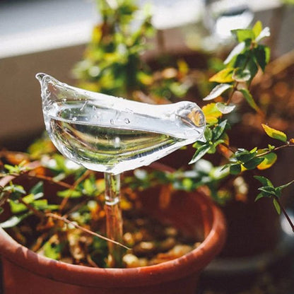 Arrosage goutte à goutte