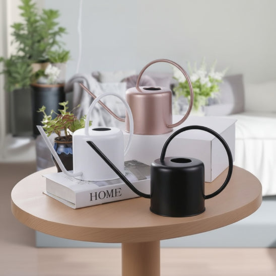 Arrosoir d'intérieur