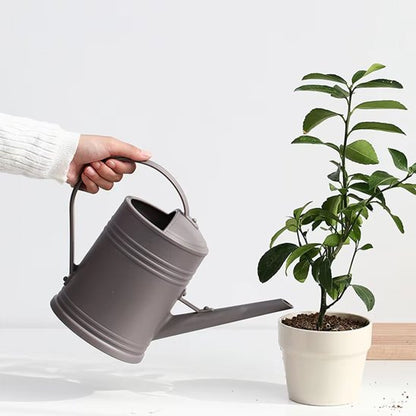 Arrosoir d'intérieur​