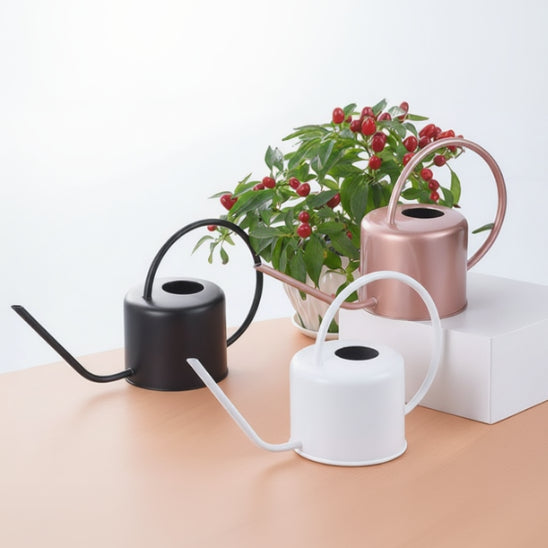 Arrosoir d'intérieur