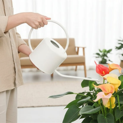 Arrosoir d'intérieur