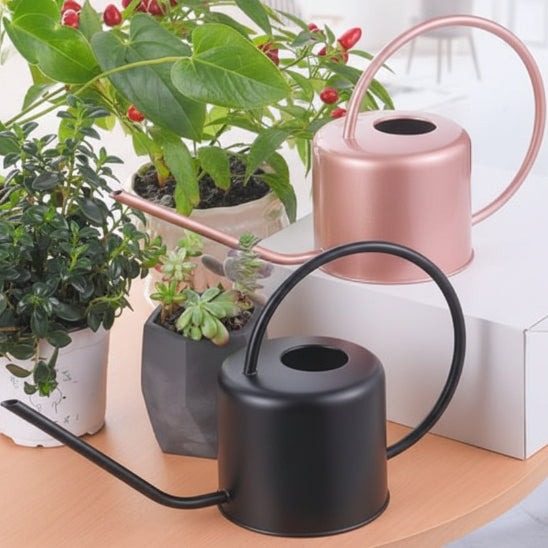 Arrosoir d'intérieur