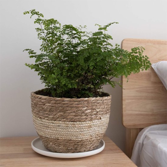 Cache Pot  jute bicolore
