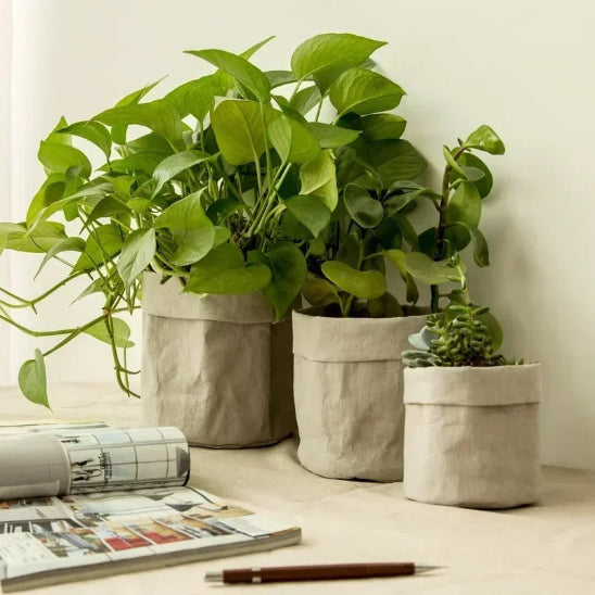 cache pot kraft