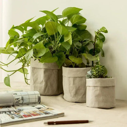 cache pot kraft