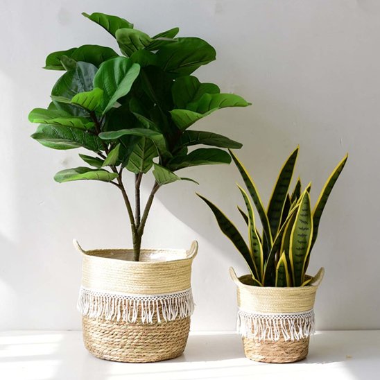Cache pot osier