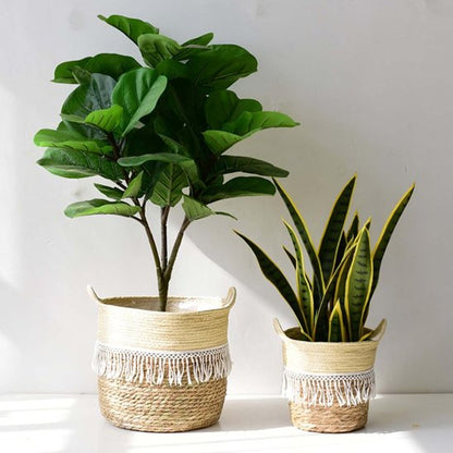 Cache pot osier