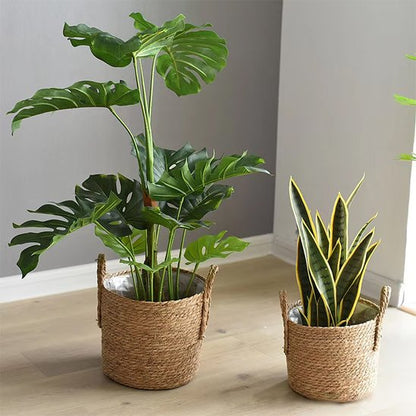 cache pot osier 