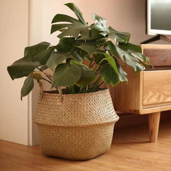 Cache pot osier