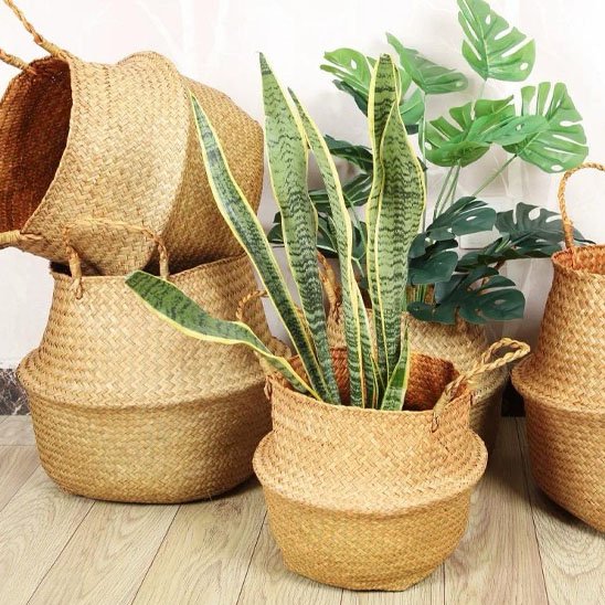 Cache pot osier