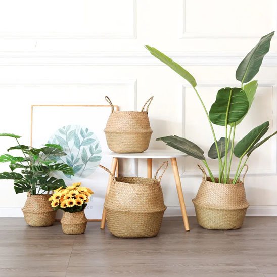 Cache pot osier