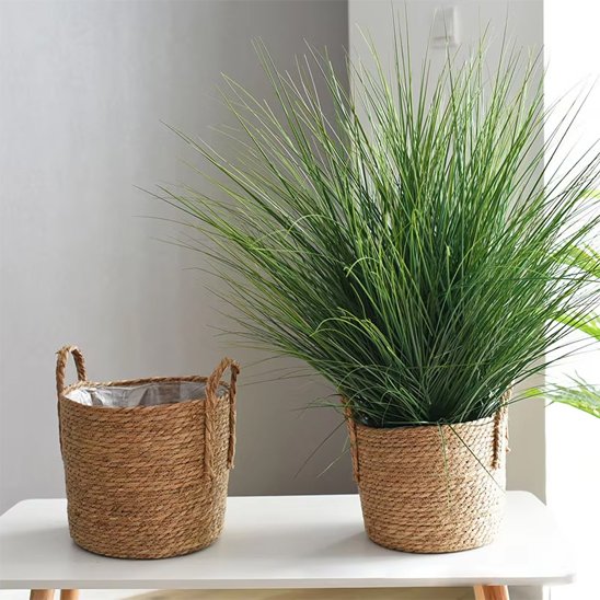 cache pot osier 