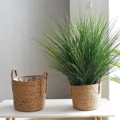 cache pot osier 