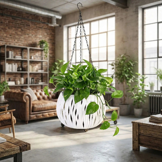 cache pot pothos